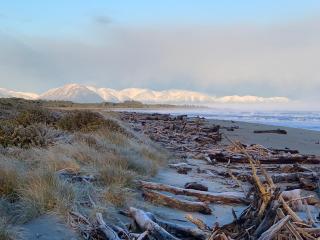 Haast Beach Motel - Haast - 6