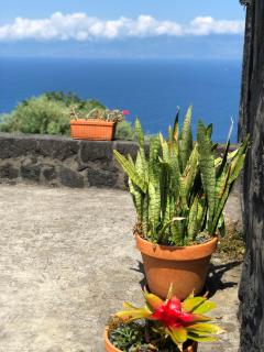 Casa de Lá - 5