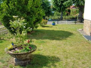 Ferienhaus Dünengras - Strand 300m - freistehend - 9