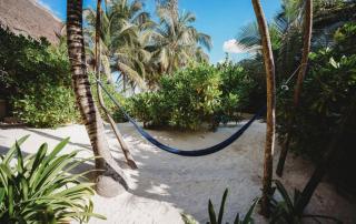 Palms house - Tulum - 0