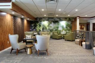 Medallion Inn and Suites - Arlington - 1