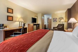 Comfort Inn Warren I-69 - Warren - 7
