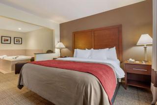 Comfort Inn Warren I-69 - Warren - 5