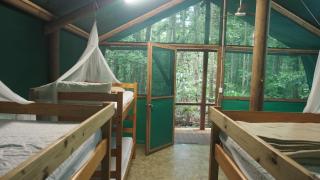 Daintree Crocodylus - Cow Bay - 9