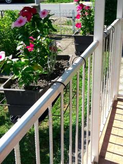 Apartmani Centar Banja Vrujci - Mionica - 3