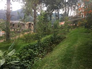 Shreyas - Kodaikanal - 8