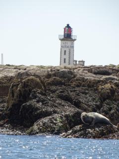 Sérénité à la mer - Concarneau - 7