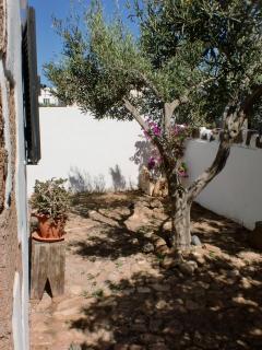 Casa Dante - Tías - 3