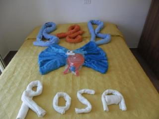 B&B Da Rosa Camerota - Camerota - 6