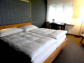 Hotel Ländli - Oberägeri - 3