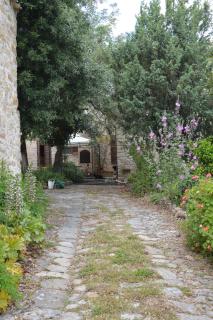 Sa Domu de sa Contissa - Sèlegas - 8