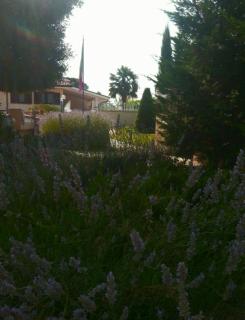 B&B Joy - Colleferro - 6