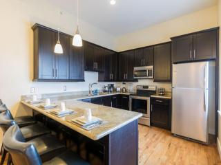 Beautiful Condos Steps from French Quarter & Bourbon St. - New Orleans - 4