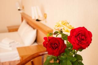 Altyn Dala Hotel - 4