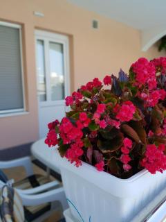 Villa Ferias - Trogir - 7