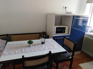 Apartma Viktorija - Kranjska Gora - 2