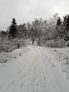 Sissi's Feriendomizil - Winterberg - 2