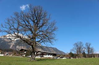 Lamplhof B&B - Wiesing - 1