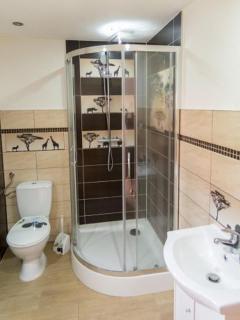 Albertówka - Trzciel - 3