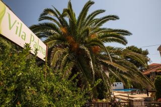 Apartments Vila Palma - Medulin - 9