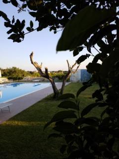 Dimora del Sole - Putignano - 8