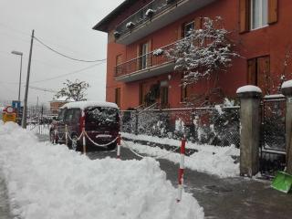 Il Pellicano - Rovereto - 8