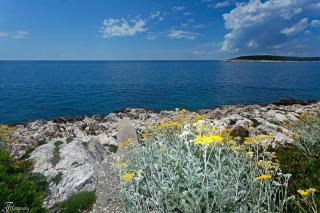 Apartments Cvjetan - Hvar - 5
