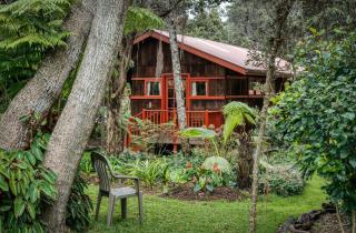 Crater Rim Cabin - Volcano - 8