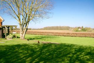 Thatched Cottage - 4