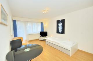 Studio in the heart of Zurich - Crown 24 - Zurigo - 9