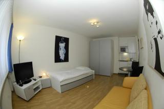 Studio in the heart of Zurich - Crown 24 - Zurigo - 7