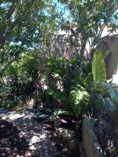 Arthouse Campos mit Haus Galeria 110qm und Appartementhaus mit Patio 30qm - Campos - 6