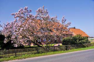 Landhaus - Hof Pakirnis - Bleckede - 9