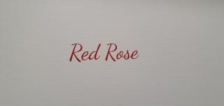 Little Rose guest house - Fiumicino - 9