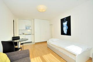 Studio in the heart of Zurich - Crown 35 - 6