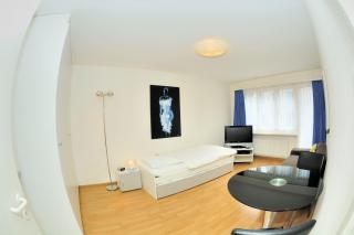 Studio in the heart of Zurich - Crown 35 - Zurigo - 5
