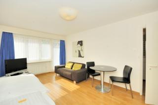 Studio in the heart of Zurich - Crown 35 - Zurigo - 7