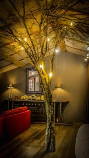 Lyon Campagne - Rontalon - 5