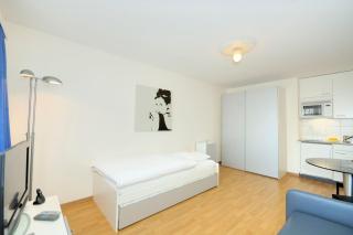 Lovely studio in the center - Crown 44 - Zurigo - 8