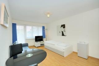 Lovely studio in the center - Crown 44 - Zurigo - 0
