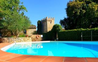 Tenuta di Spannocchia - Rosia - 9