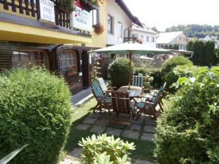 Pension Nika - Český Krumlov - 8