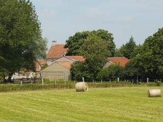 La Roulotte du Haut Pinleu - 3