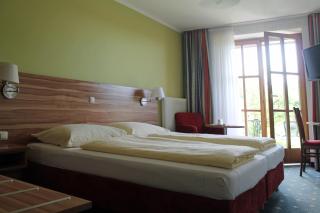 Ferienhotel Herzog - Neumarkt am Wallersee - 1