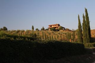 Maremma che vista! - Campagnatico - 0