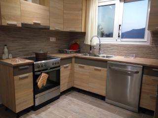 Helios & Elia family apartment - Liapades - 3