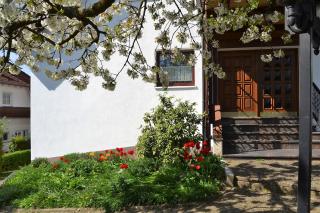 FeWo Ackermann - Modautal - 7