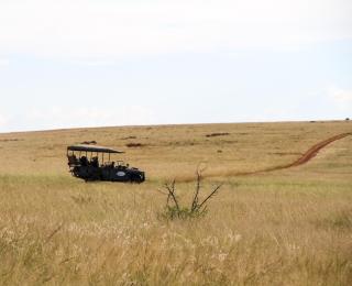Cradlestone Camp - 6