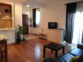Banu Manta Apartments - Bucharest - 8