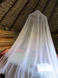 Yolitia Wellness - Malinalco - 2